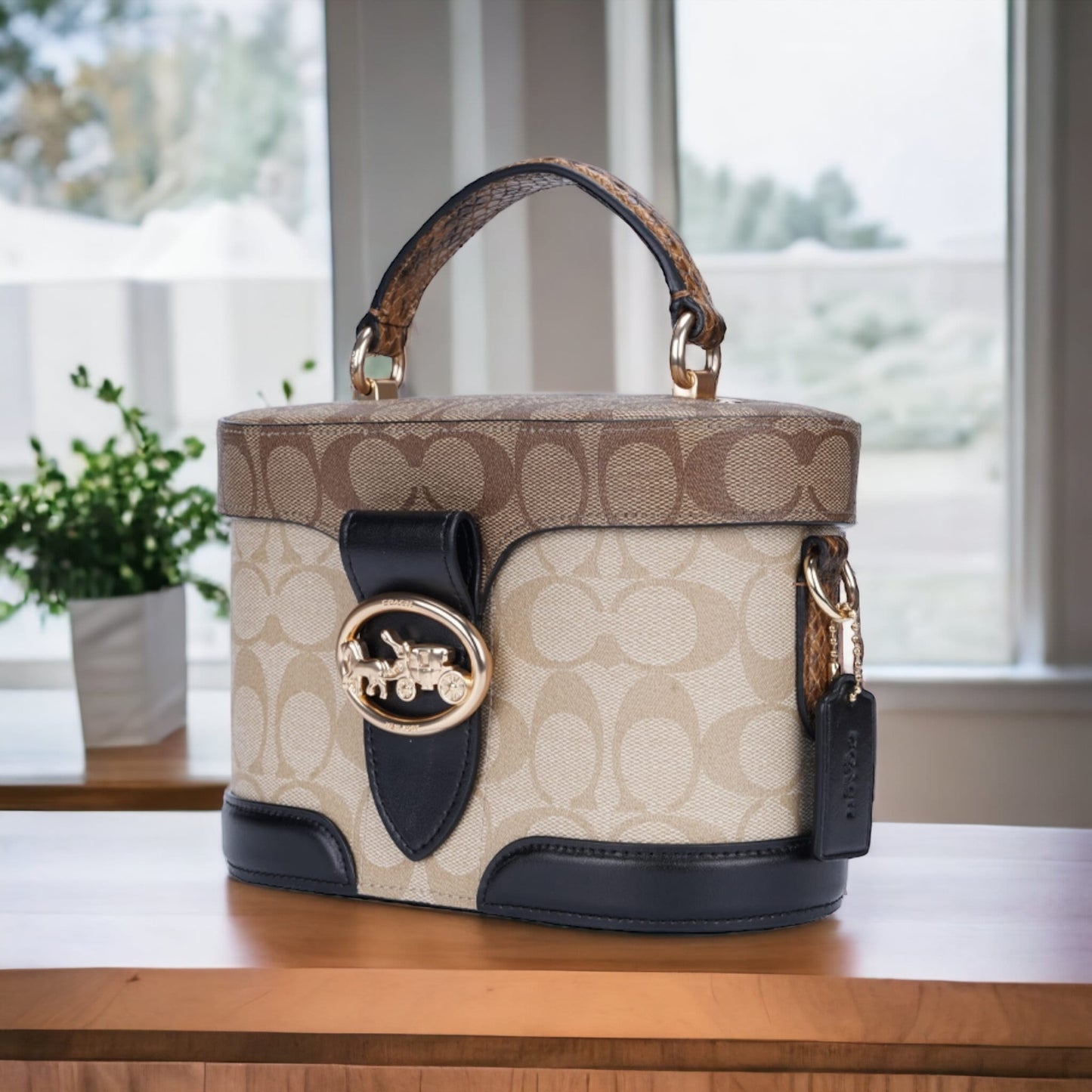 Coach 女士PVC配皮單肩斜挎手提包 5504 IMRKY